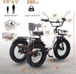 Narrak 750W Electric Tricycle for Adults
