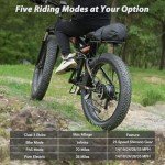 Foldable 2000W Electric Bike for Adults