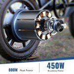 HOVSCO 14" Folding Electric Bike, 30-Mile Range