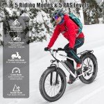 Funhang 1000W Electric Mountain Bike for Adults