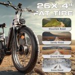 Seemoon 3000W Fat Tire Electric Bike for Adults