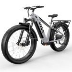 Vivi ACE01 26" Fat Tire Electric Mountain Bike