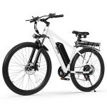 Qlife Racer 1000W Electric Mountain Bike 28MPH