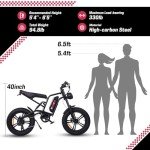 WINDONE E2 Full Suspension Electric Bike 750W