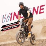 WINDONE E2 Full Suspension Electric Bike 750W