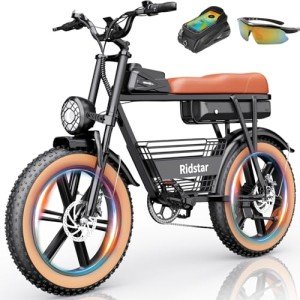 Ridstar Q20 Adult Electric Bike with Fat Tires