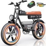 Ridstar Q20 Adult Electric Bike with Fat Tires