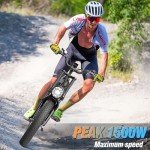 Ridstar Q20 Adult Electric Bike with Fat Tires