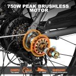 ACTBEST 750W Step-Thru Electric Bike for Adults