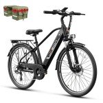Jasion Roamer Adult Electric Bike - 1200W Power