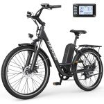 Funhang 1000W Electric Bike for City Cruising