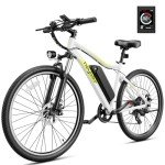 Heybike Race Max 750W Electric Mountain Bike