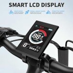 Jasion Roamer Adult Electric Bike - 1200W Power