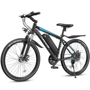 Funhang 1000W Electric Mountain Bike for Adults