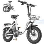 Folding Electric Bike for Adults with Fat Tires