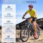 Funhang 1000W Electric Mountain Bike for Adults
