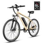 Jasion EB5 500W Electric Mountain Bike for Adults