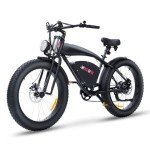 WINDONE K20 High-Speed 1000W Electric Bike