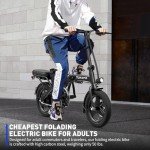 Folding Electric Bike with 750W Motor, 50-Mile Range