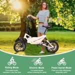 Winado 14" Folding Electric Bike for Adults