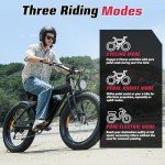 WINDONE K20 High-Speed 1000W Electric Bike