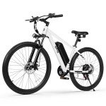 Qlife Racer 1000W Electric Mountain Bike for Adults