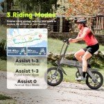 16" Folding Electric Bike for Adults, 400W Motor