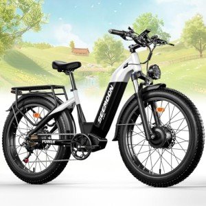 Seemoon 3000W Fat Tire Electric Bike for Adults