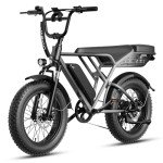Jasion RetroVolt 1500W All-Terrain Electric Bike