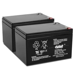 12V 12Ah Sealed Lead Acid AGM Battery Duo