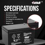 12V 12Ah Sealed Lead Acid AGM Battery Duo