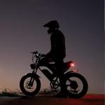 Ridstar 1000W Fat Tire Electric Motorcycle, 30MPH