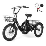 Vivi 750W Folding Electric Tricycle for Adults