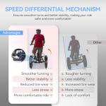 Vivi 750W Folding Electric Tricycle for Adults