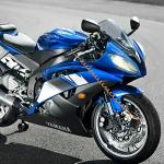 YOHOOLYO Anti-Theft Disc Lock with Reminder Cable