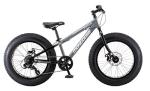 Mongoose Argus ST Fat Tire Mountain Bike for Kids Boys Girls, 20-Inch Wheels, Mechanical Disc Brakes, 10.5-Inch Steel Hardtail Frame, 7-Speed, Grey