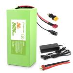 RANSYRI 36V 8Ah Universal Power Pack Rechargeable Battery with 42V 2A Adapter | 20A BMS & Waterproof Design(200-500W Systems)
