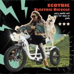 ECOTRIC Electric Tricycle for Adults,750W 48V 22.4AH Removable Battery,Fat Tire 7 Speeds Adult Electric Tricycle with Basket （White）