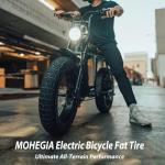 MOHEGIA Ebike Fat Replacement Tire: 20x4.0 Inch E-Bike Mountain Bicycle Tire,High-Performance Puncture-Resistant and All-Terrain Folding Electric MTB Tire