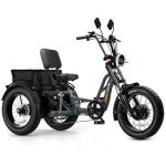 Meetone Tour Dual Motor Electric Tricycle for Adults, 130Miles Full Suspension Electric Trike, 48V 30AH Dual Battery 20×4 Fat Tire AWD Etrike, Torque Sensor, Rear Reverse, Speed Differential