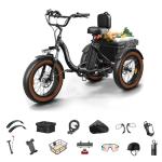 Electric Tricycle for Adults, 20" Fat Tire 3 Wheel Electric Trike with 960W Rear Motor, Range,Differential for Safety, 25MPH Cargo Tricycle with 2 Basket, 48V 648Wh Removable Battery Ebike 55Miles BA