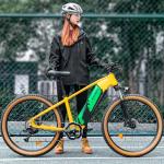 ROCKBROS Ebike Battery Cover Neoprene E Bike Battery Protective Cover for Outdoor Riding ebike accessories for Isolating Battery, Wear Resistant, Dirt Resistant