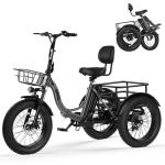 Qlife Triker Plus Electric Bike, Peak 1200W Brushless Motor Electric Tricycle for Adults, 48V 13Ah Folding Ebike, Max 20MPH Up to 65 Miles, Bicycle, 20x4.0 Fat Tire E-Bike, Grey