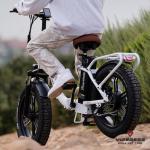 HEB VIPERESS 20x4.0 Fat Tire - Puncture Resistant Ebike Tires, 20x4 Fat Bike Tire for Electric Bike, MTB, Heavy Duty, All Terrain Tire for Street/Trail Riding - Qty 2