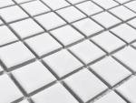 Tenedos 1x1 Square White Porcelain Mosaic Tile for Bathroom Walls, Shower, Pool, Entryway, Floor and Backsplash - Single Full Sheet, Easy Installation (1)