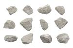 EISCO 12PK Oolitic Limestone, Sedimentary Rock Specimens - Approx. 1" - Geologist Selected & Hand Processed - Great for Science Classrooms - Class Pack