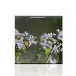 MR.R 8 Pack Sublimation Blanks 4x4 White Glossy Ceramic Tiles Crafts for Heat Press Transfer Printing Customized Photo Frame Novelty for Wedding, Birthday Gift, Decoration (10x10cm)
