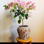 Yuvori 1.1 lbs Modern Abstract Geometric Irregular Porcelain Mosaic Tiles, DIY Handmade, Bathroom, Living Room, Kitchen Backsplash, Outdoor (04, Small)