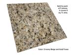 Tenedos New Venetian Gold Granite 12x12 Polished Tile – Durable Natural Stone for Floor Wall Kitchen Countertop Bathroom Backsplash Fireplace (5-Piece Set 5 SqFt)