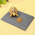 Slate Shower Floor Tile with Anti-Slip Design